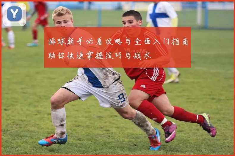 排球新手必看攻略与全面入门指南助你快速掌握技巧与战术