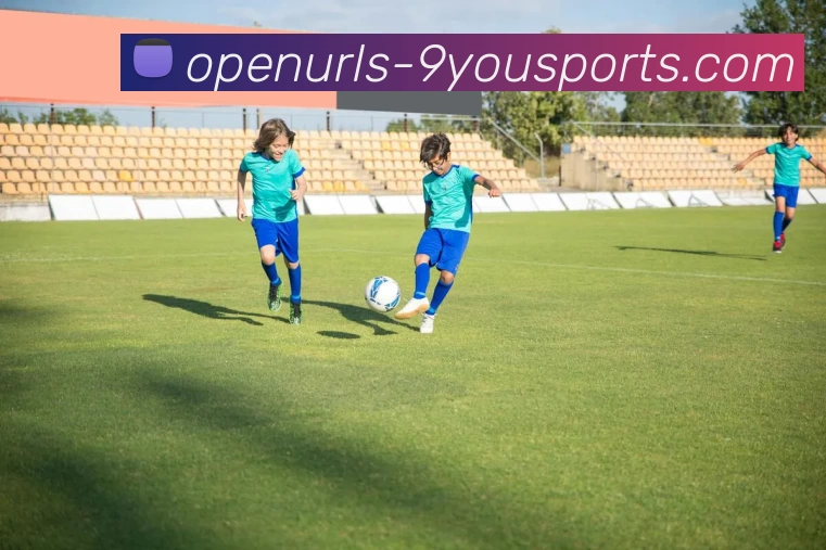 九游体育APP 封面图